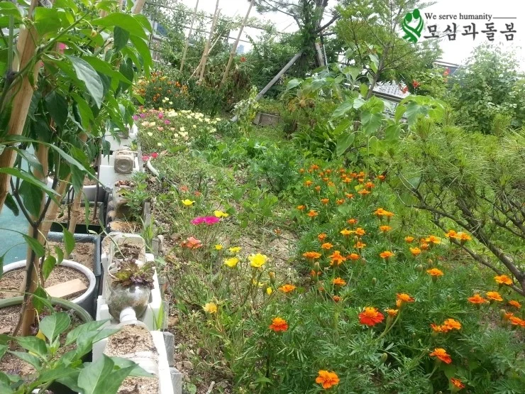 하늘정원4