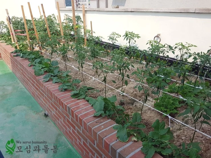 하늘정원5